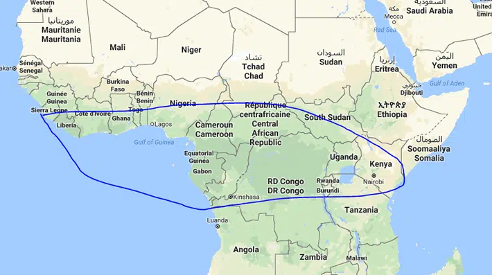 Hábitat Geográfico del Loro Gris Africano