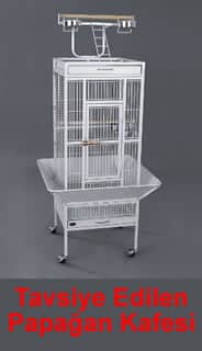 Checkered parrot cage we recommend