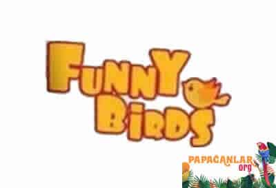 Funny Birds