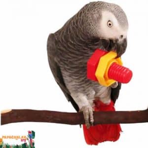 Plastikspielzeug für Papageien