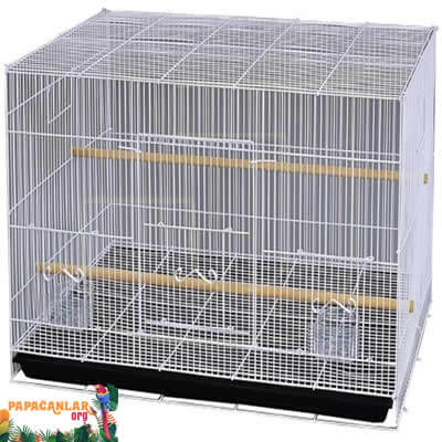 Parrot Travel Cage