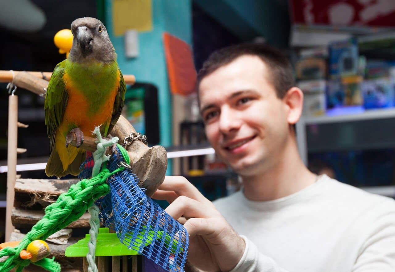 Preise für Baby-Papageien Zoohandlung