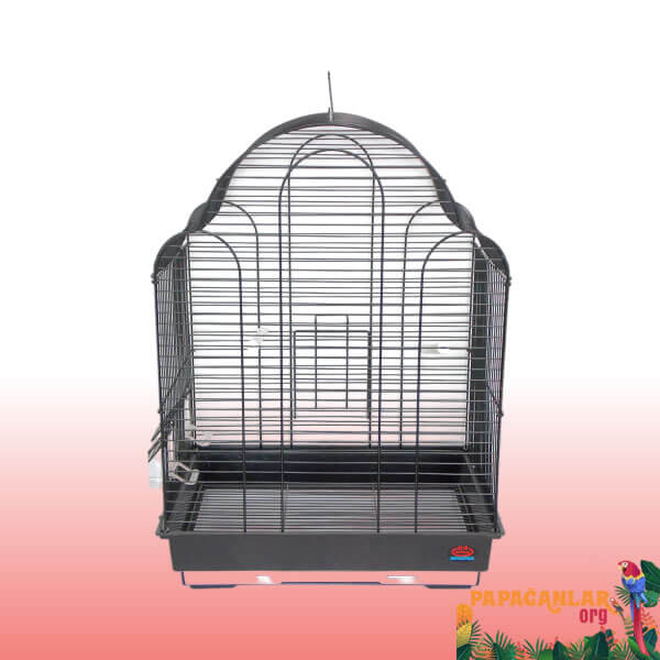 n11 parrot cage