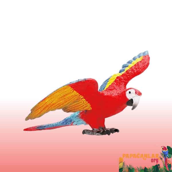 n11 parrot