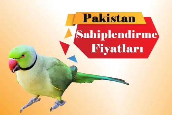 pakistan papağanı fiyat