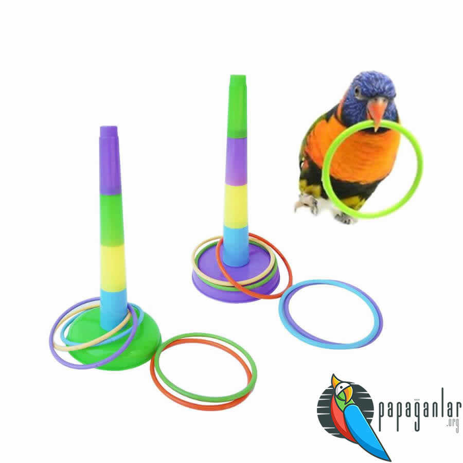 papağan eğitim oyuncakları
