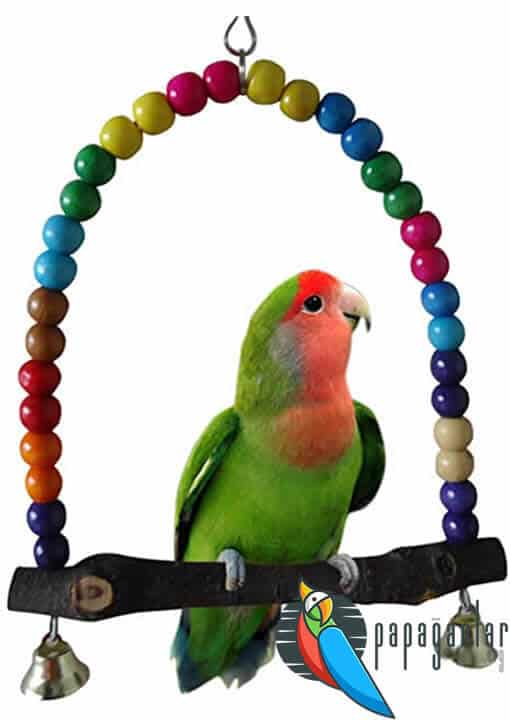 RYPET Bird Bell Toy Bellpull Bird Toy Parrot Cage Toys Cages African Grey Conure Cockatiel 