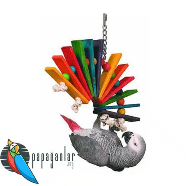 African Grey Parrot Game