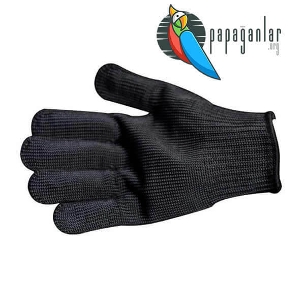 parrot safety glove