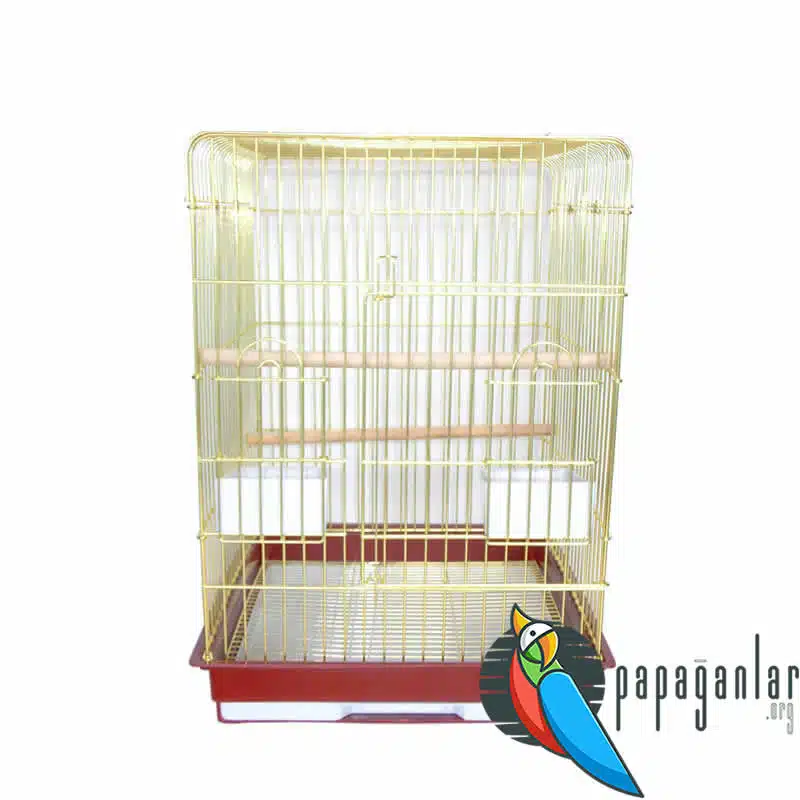 Forpus Parrot Cage