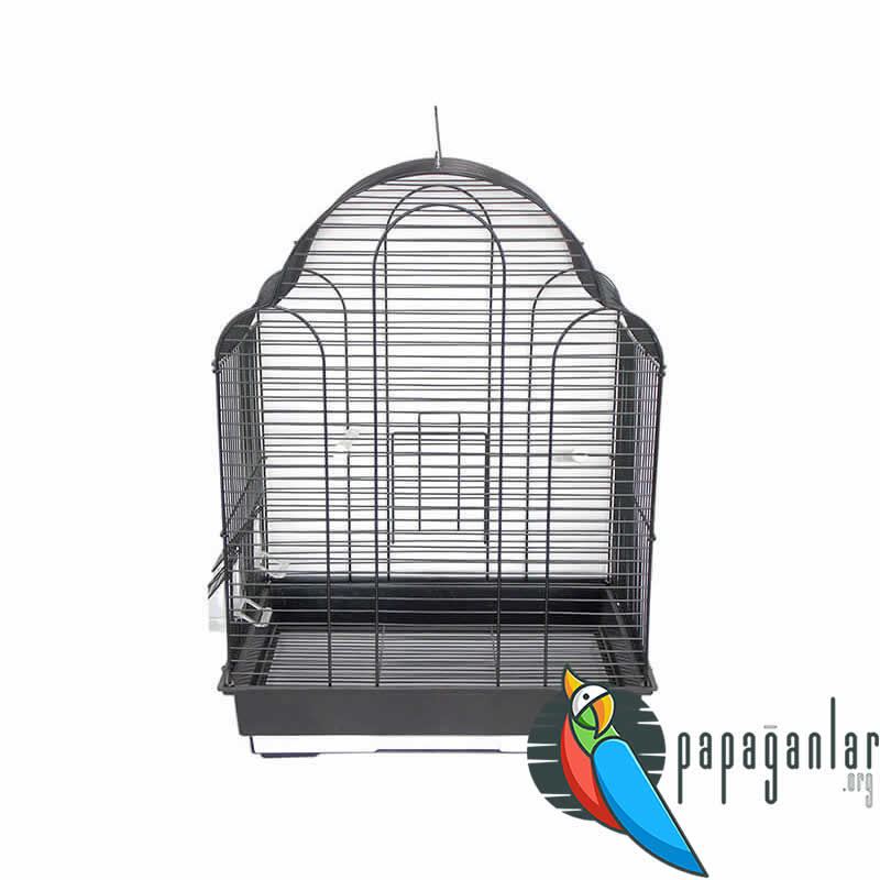 Forpus Parrot Cages