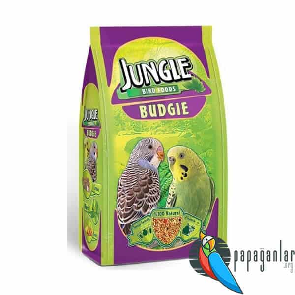 How to Eat Budgies