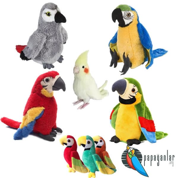 Plush Parrot Toys