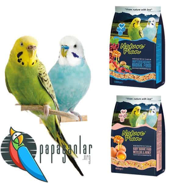 People Using Nature Plan Budgie Food