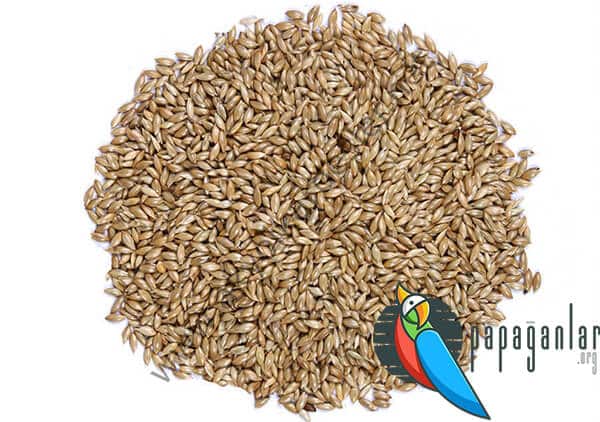 What are the Benefits of Deli Nature Safflower Feed?