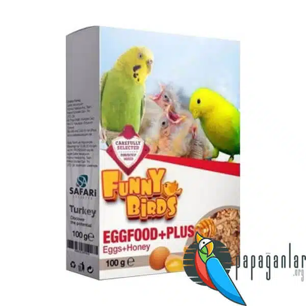 Funny Birds Food