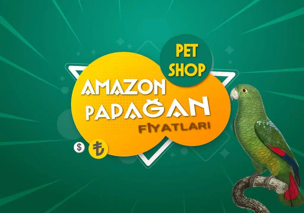 Amazon Papağanı Fiyatları Pet Shop