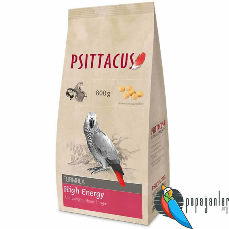 Psittacus Parrot Food