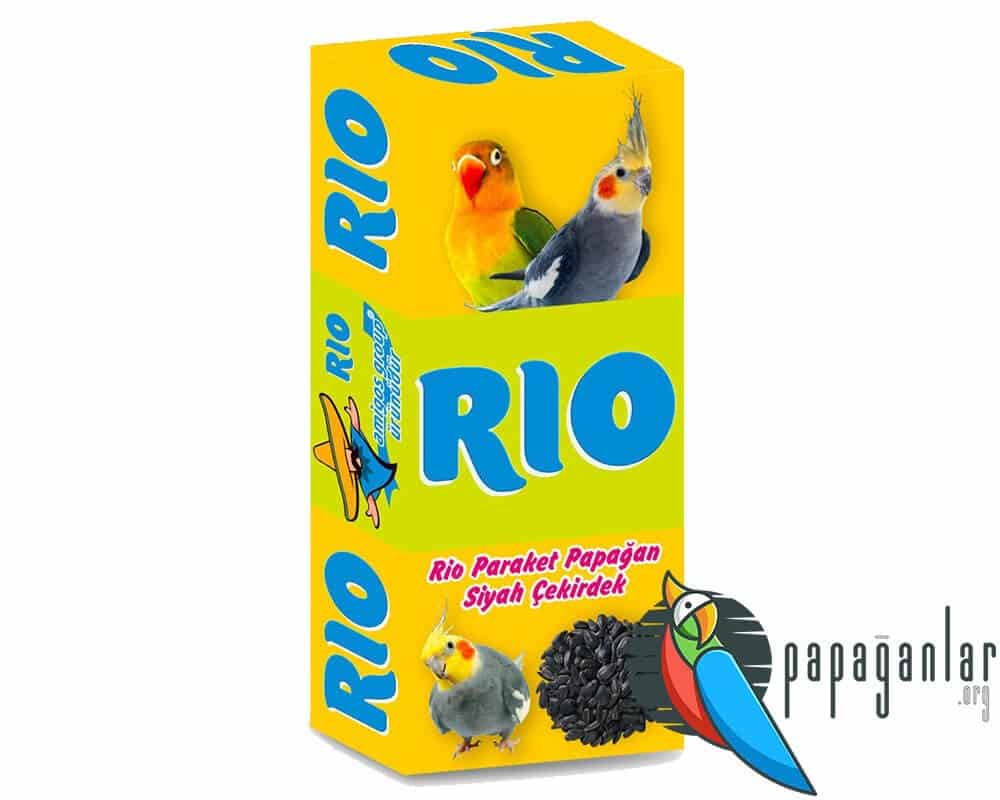 Rio Paraket Papağan Siyah Çekirdek