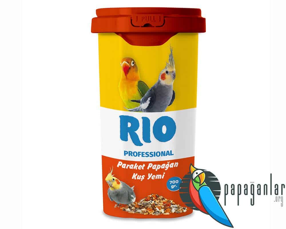 Rio Paraket Feed