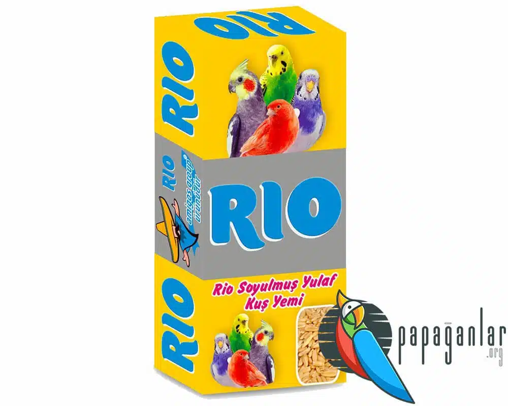 Rio Oat Seed