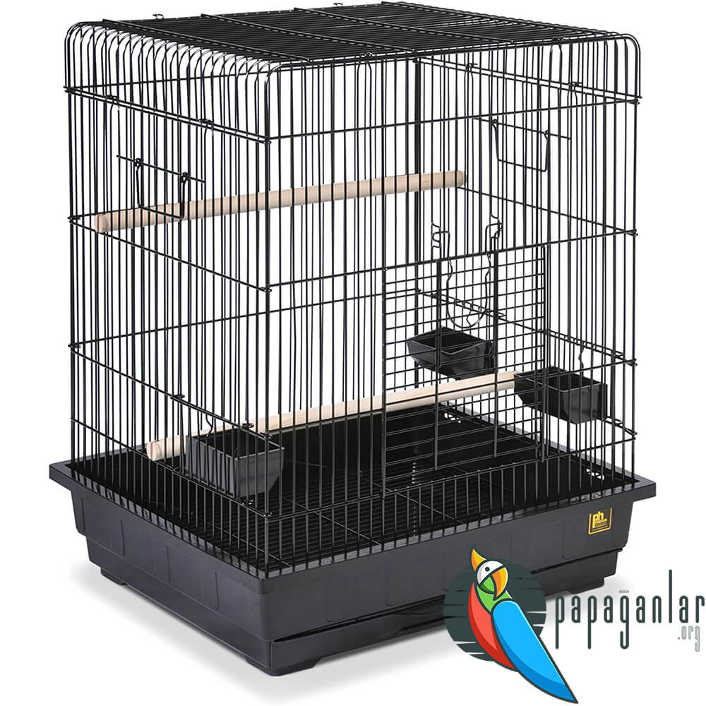 parrot cage big size price