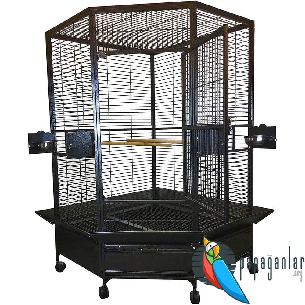 parrot cage large size