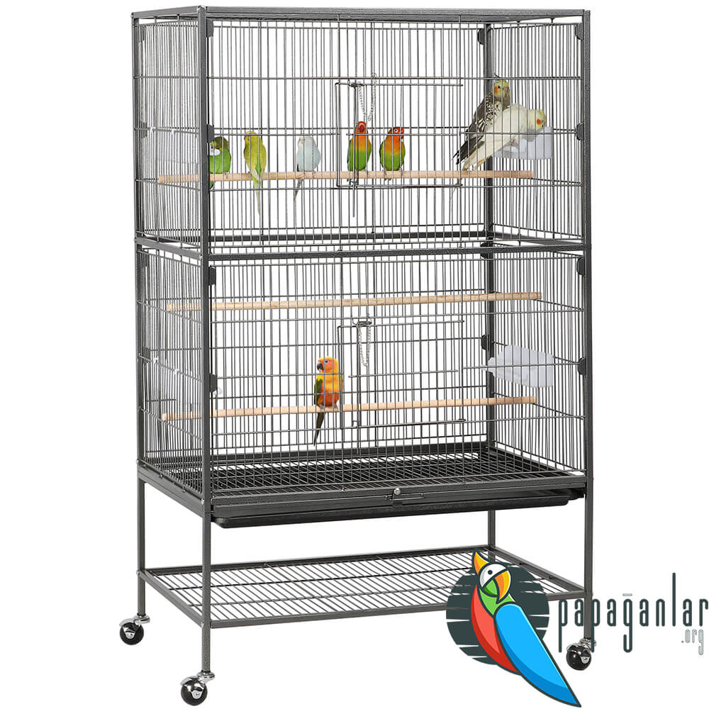 parrot cage big