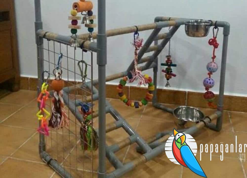 parrot playgrounds