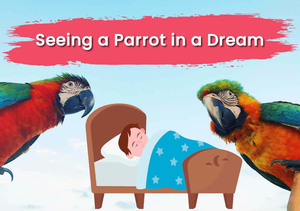 Seeing a Parrot in a Dream