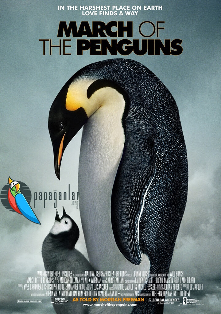 La marche de l’empereur (March of the Penguins) (İmparatorun Yolculuğu) | 2005