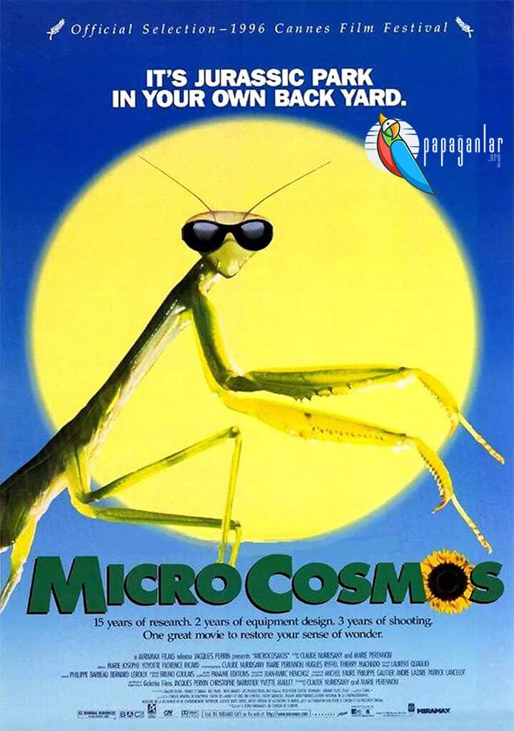 Microcosmos | 1996