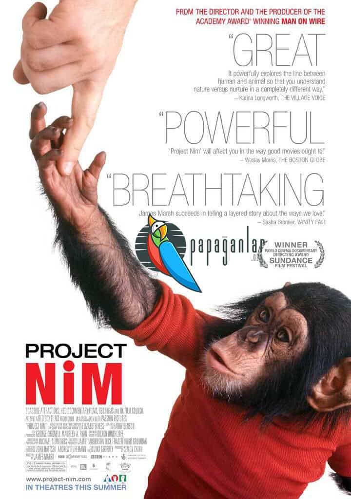 Project Nim | 2011