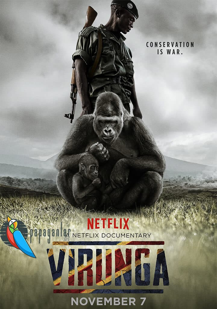 Virunga | 2014