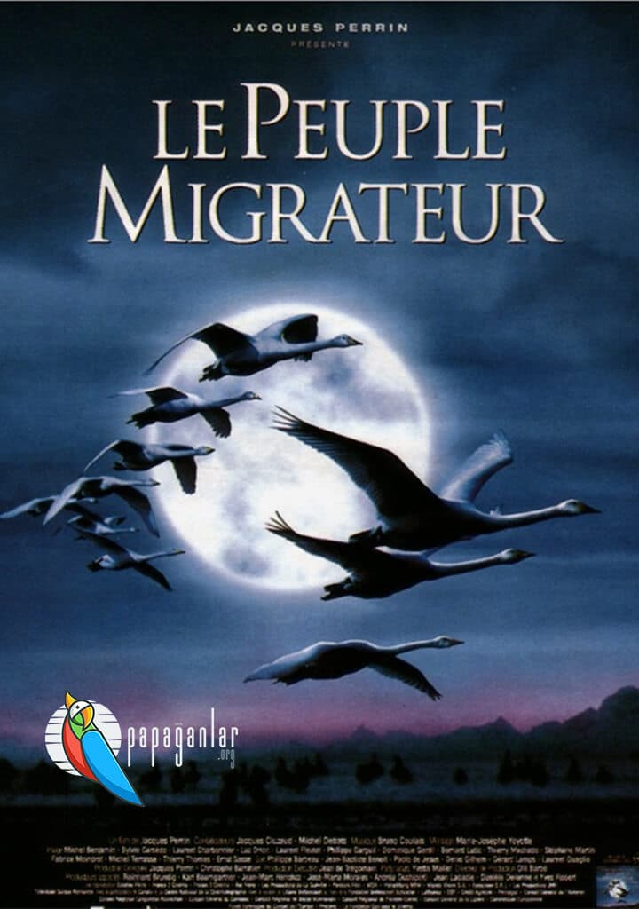 Le peuple migrateur (Winged Migration) (Civilización Alada) | 2001